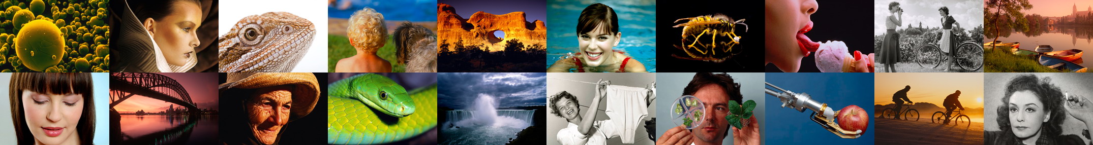 Collage Helga
Lade GmbH